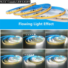 1 Pack M0741 :M.T.C Canada COB Running Water Flowing LED Strip Light Dream Colour 24VDC 10M (33 Feet No Drop in Voltage) 16 Watt/Meter Horse Race Sequential