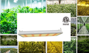 (Pack Of 2 Piece ) Upgraded M0515 : M.T.C Canada LED Grow Light 200W Full Spectrum 29,600lm Dimmable  CCT Full Spectrum White Light + 660nm RED Input Voltage :100-277VAC CETL Certified