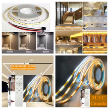 1 Pack M0741 :M.T.C Canada COB Running Water Flowing LED Strip Light Dream Colour 24VDC 10M (33 Feet No Drop in Voltage) 16 Watt/Meter Horse Race Sequential
