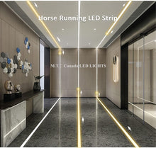 1 Pack M0741 :M.T.C Canada COB Running Water Flowing LED Strip Light Dream Colour 24VDC 10M (33 Feet No Drop in Voltage) 16 Watt/Meter Horse Race Sequential