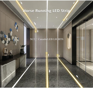 1 Pack M0741 :M.T.C Canada COB Running Water Flowing LED Strip Light Dream Colour 24VDC 10M (33 Feet No Drop in Voltage) 16 Watt/Meter Horse Race Sequential