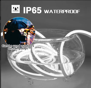 M.T.C Canada LED Neon Rope Light 25M(82.5 Feet) Roll Direct Line Voltage 110V 120LED/M Outdoor And Indoor Use IP66 , Warm White Colour 3000K ,