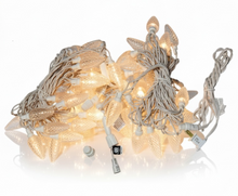 CSA Certified 50M (165 Feet) M0817 : M.T.C Canada C9 LED String Light – Warm White (10M / 50 LEDs) X5 (50M /250 LED White Wire Extendable Male Female Connection Max Can Connect 45 Set