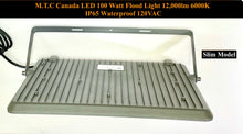 (Pack of 4 Piece )M0846-M.T.C Canada LED flood Light 100W 12000lm 6000K 120VAC With Plug In CETL Certified IP65