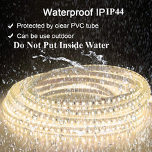 M0449:LED Strip Lights 24VDC 10M 33ft No Drop In Voltage IP44 Waterproof 1200 LEDs 2835 SMD in Single colour,24V DC And 600LED 5050 SMD in RGB LED Flexible Tape