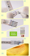 M0469 : LED Rope Light 25M Roll 5050 SMD Direct Line Voltage 100V-265V 60LED/M Outdoor And Indoor Use IP66 RGB With RF Controller