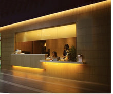 M0003 ( 3000K Warm White  ) :LED Rope Light 25M Roll Warm White ColourOutdoor/Indoor IP66 With 110V Flat Wall Plug