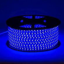 M0470/50M : LED Rope Light 50M (165 Ft) 2835 SMD 120LED/M 120V Outdoor &Indoor Use IP66 With 110V Flat US Wall Plug connector