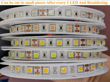 Pack of 5 Roll (5M Each ) M0487 : LED Strip Light 12V DC IP20 Indoor Use Only 5M Roll 5050 60LED/M 300 LED/ Roll Watt:1M≤14