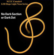 M0432 / Blue 25M : LED Rope Light 360 Degree Neon 25M Roll 2835 SMD 120V 120 LED/M Outdoor /Indoor Use IP66 With 110V Flat US Wall Plug+ 20 Pcs Holding Clip