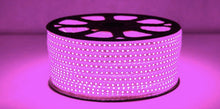 M0003(Pinkish Purple) :LED Rope Light 25M Roll 5050 SMD 100V-265V 60LED/M Outdoor/Indoor Use IP66 With 110V Flat US Wall Plug+20 Pcs Holding Clip