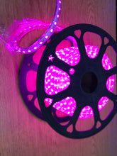 M0003(Pinkish Purple) :LED Rope Light 25M Roll 5050 SMD 100V-265V 60LED/M Outdoor/Indoor Use IP66 With 110V Flat US Wall Plug+20 Pcs Holding Clip