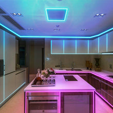 M0003(Pinkish Purple) :LED Rope Light 25M Roll 5050 SMD 100V-265V 60LED/M Outdoor/Indoor Use IP66 With 110V Flat US Wall Plug+20 Pcs Holding Clip