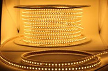 M0470/50M : LED Rope Light 50M (165 Ft) 2835 SMD 120LED/M 120V Outdoor &Indoor Use IP66 With 110V Flat US Wall Plug connector